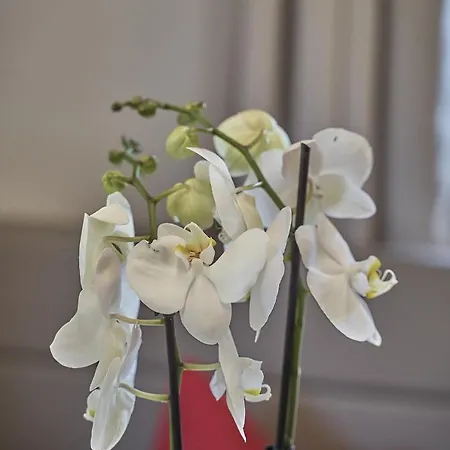 Garni Schoenblick Ξενοδοχείο