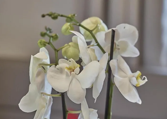 Garni Schoenblick Ξενοδοχείο